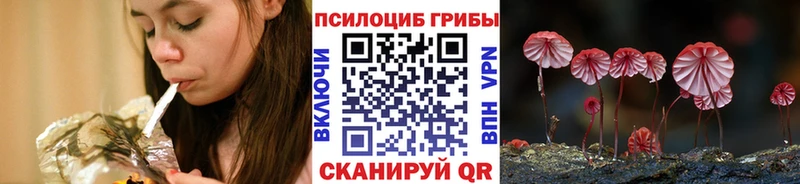 hydra как зайти  Петрозаводск  Галлюциногенные грибы мухоморы 