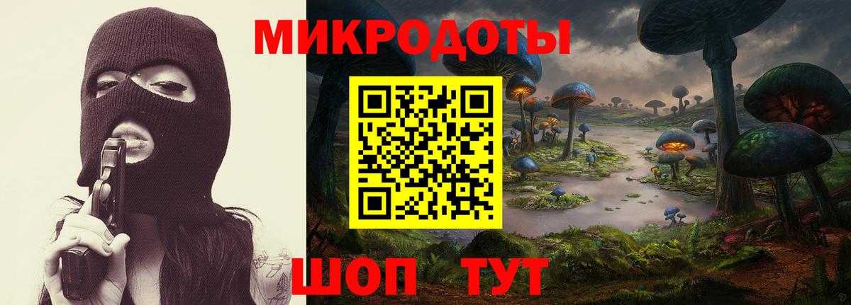 Псилоцибиновые грибы MAGIC MUSHROOMS Петрозаводск