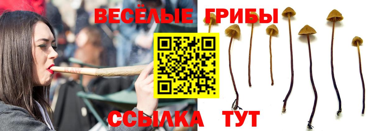 Псилоцибиновые грибы прущие грибы  Вход с VPN  Петрозаводск 